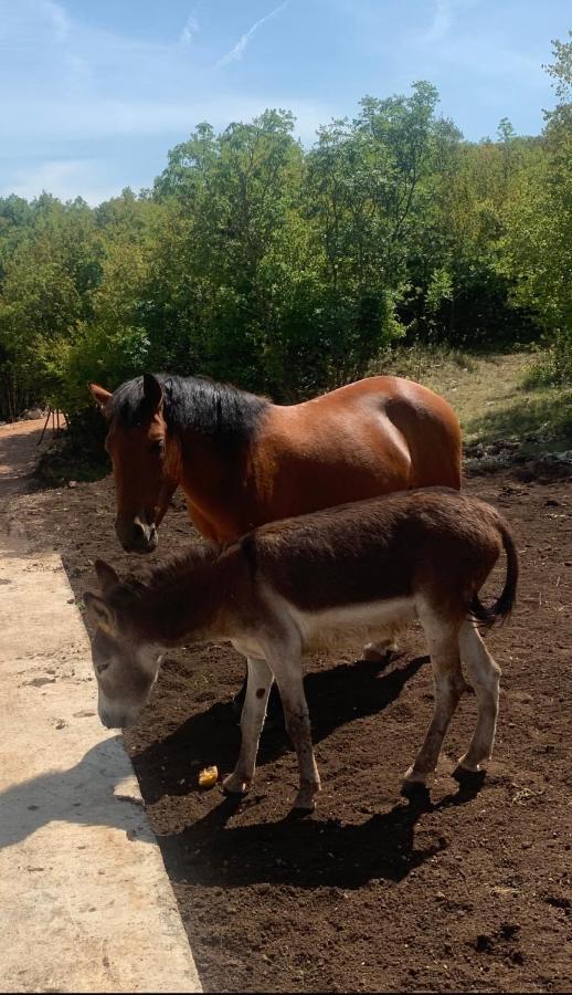 Etno Selo Montegoat Hotel Nikšić Eksteriør billede